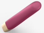 vibro delight me 12 x 17 cm prune 4