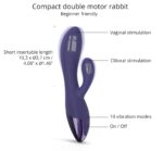 vibro rabbit funky bunny love to love violet 3