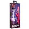 vibro rabbit rotatif vibe coin 23cm rose 1
