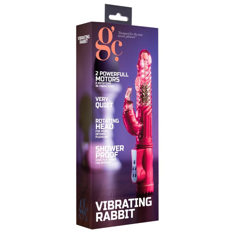 vibro rabbit rotatif vibe coin 23cm rose 1