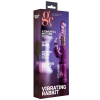 vibro rabbit rotatif vibe coin 23cm violet 1