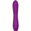 vibro torti 17 x 33cm violet