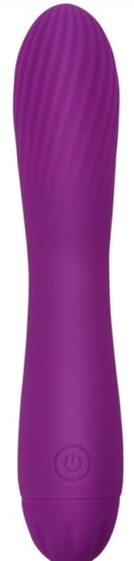 vibro torti 17 x 33cm violet