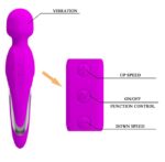 vibro wand puissant fitzgerald tete 50mm 6